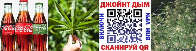 Cannafood конопля  Купить закладки  Каменка 