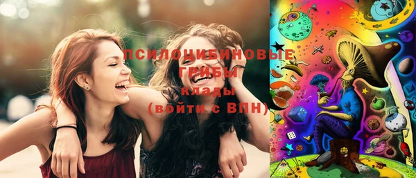 героин Ельня